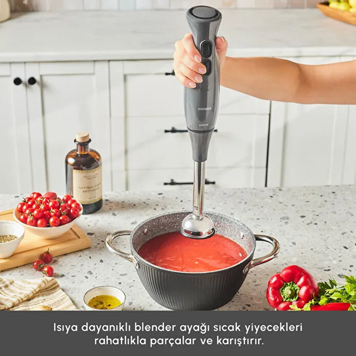 Karaca Pro Multimax 6 in 1 Çok Amaçlı Mutfak Robotu 2000W Space Gray